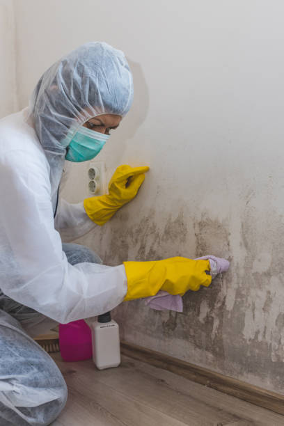 Best Indoor Air Quality Assessment  in Lynchburg, TN