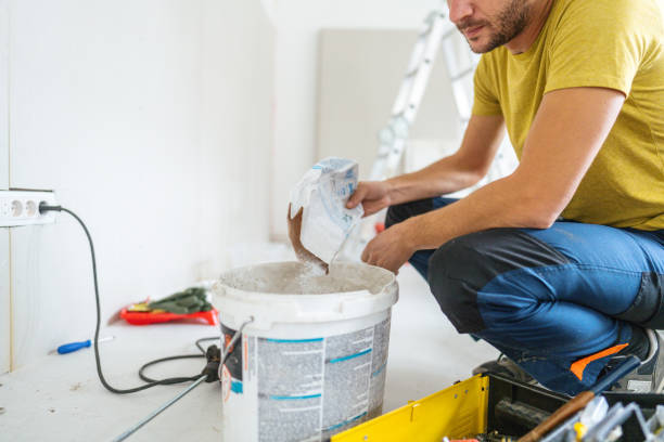 Best Attic Mold Removal  in Lynchburg, TN