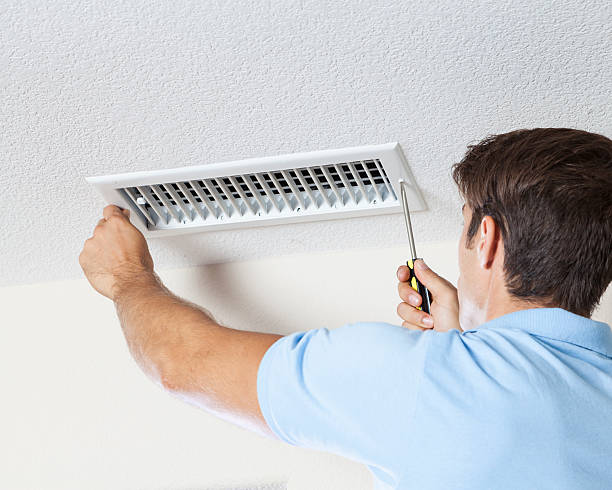 Professional Mold Removal in Lynchburg, TN