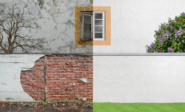 Best Mold Odor Removal Services  in Lynchburg, TN