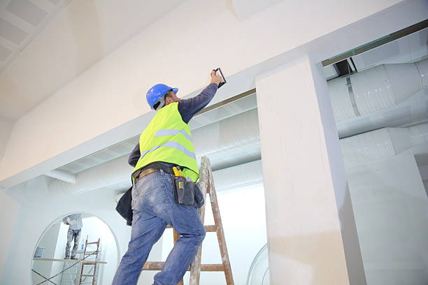 Best Emergency Mold Remediation  in Lynchburg, TN