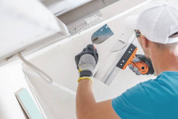 Best Basement Mold Removal  in Lynchburg, TN